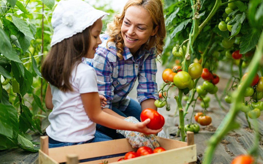 Frau mit Kind im Garten, große rote Tomaten :: Foto Adobe Stock