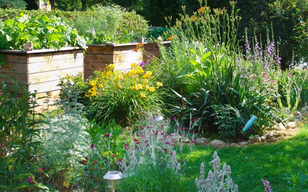 üppiger Garten mit Rasen, Blumen und Hochbeet :: Foto © Ingrid Steinkellner